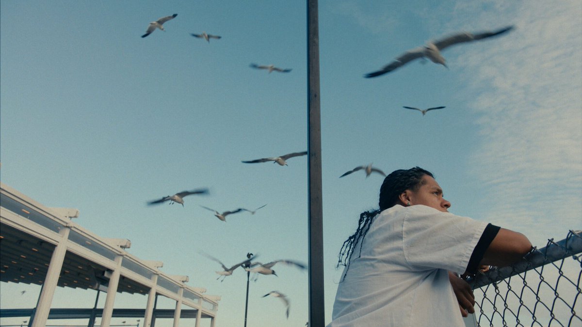 Sundance Film Festival tweet media