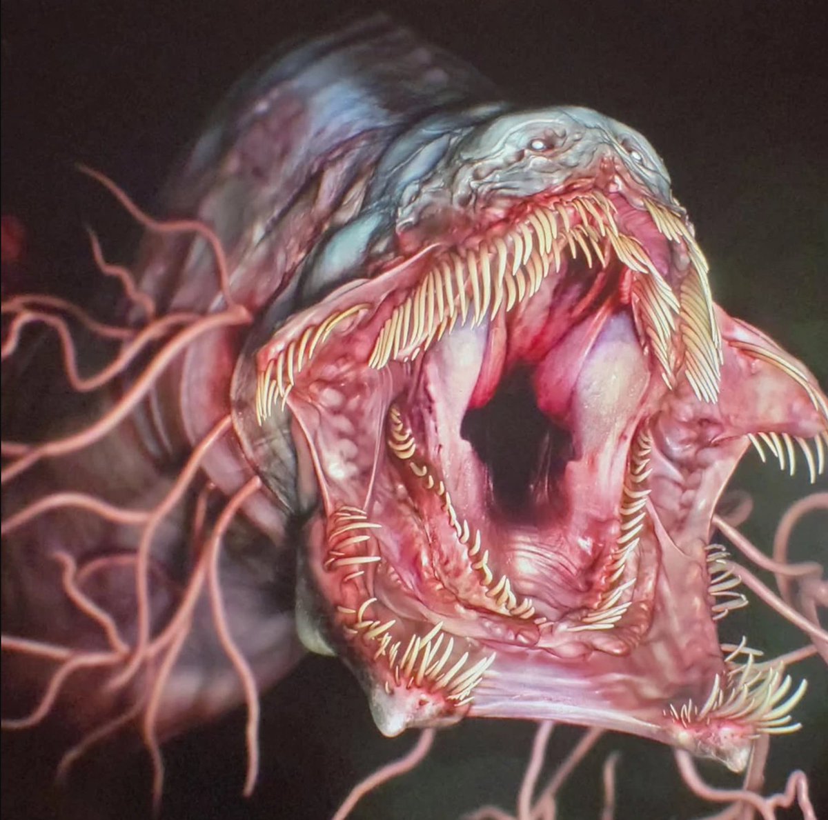 Suchotator561's tweet image. #creaturedesign #specevo #evolution #jurassicworld #monsterverse
In media, we see that a common trope in creature design is putting needle sharp teeth to large predators. Does anybody know of any possible alternative dentition to make their designs even more interesting? (1/2)