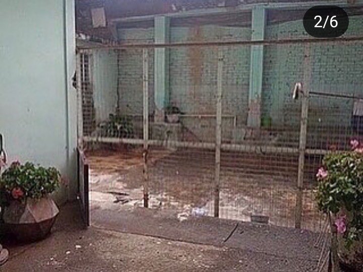 ANTEOBR's tweet photo. ZITACUARO CENTRO VENTA OPORTUNIDAD Zona del mercado central. Frente a la Iglesia 280 m2 terreno, 400 m2 construidos 3 locales 7 despachos/bodegas/consultorios 5558074262, 5553361523 #tuViviendaResuelta https://t.co/6QR41RA8wa