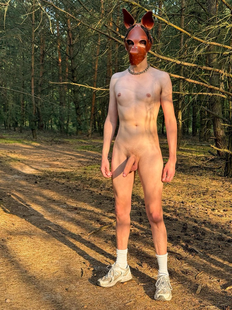 Milo Jaspers ✨ tweet media