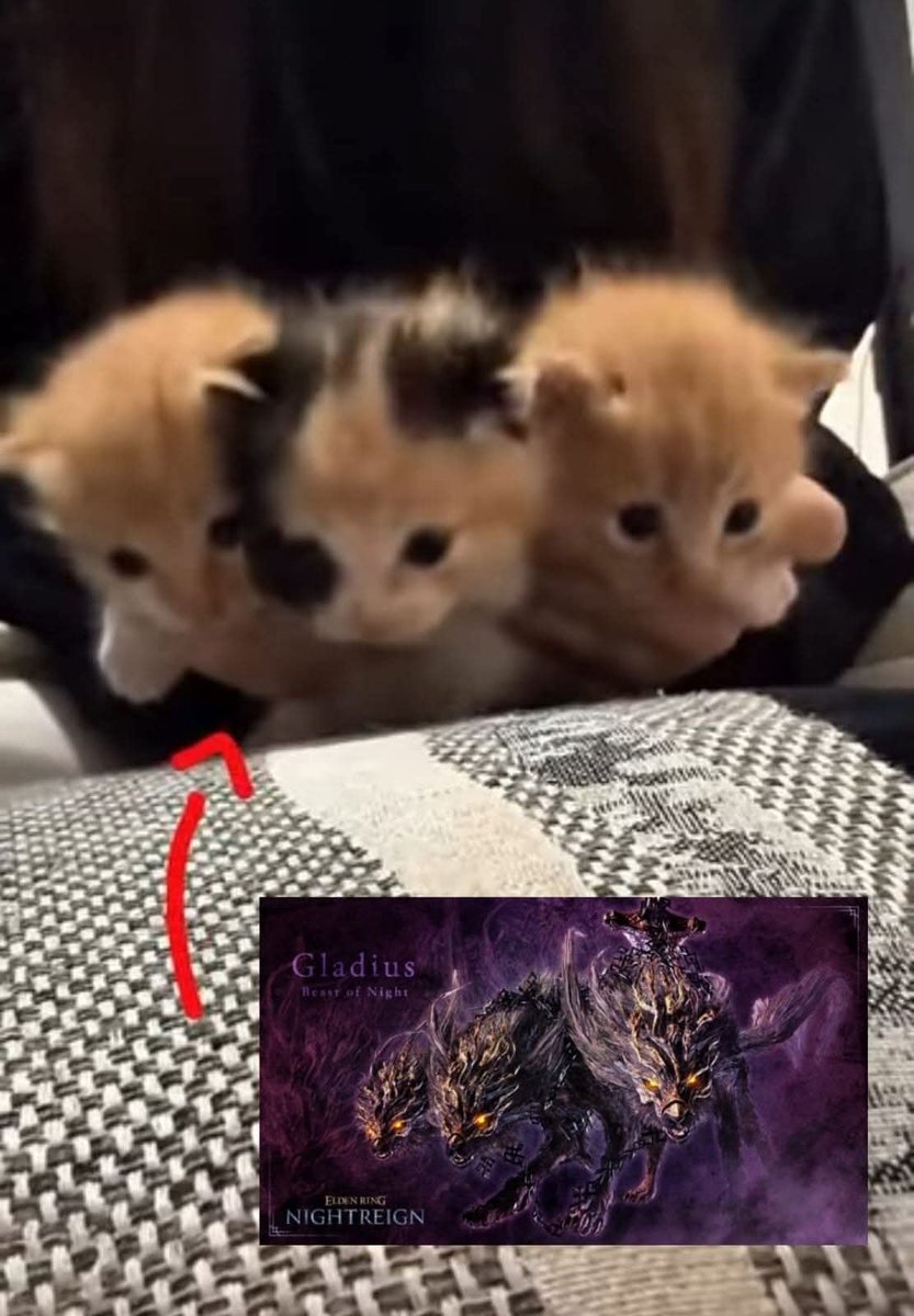 berserksouls tweet media