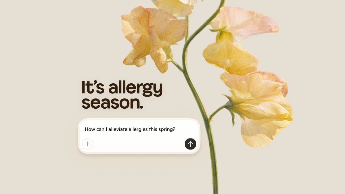 Microsoft Copilot tweet media