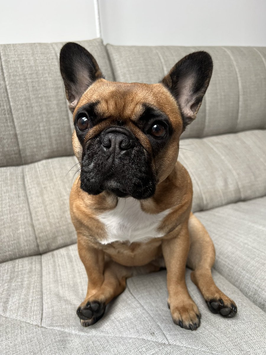 MillyMilka tweet media