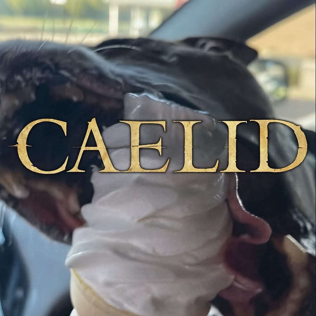 berserksouls tweet media