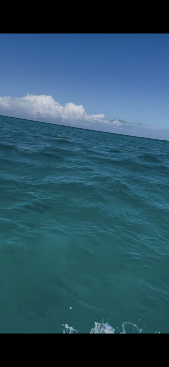 GoddessKSmokes's tweet image. Jet skis in the Bahamas? Yes pleaseeeeeeeee! #Goddess definitely deserves to be spoiled! #funinthesun #havingablast #beautifulweather #enjoyinglife