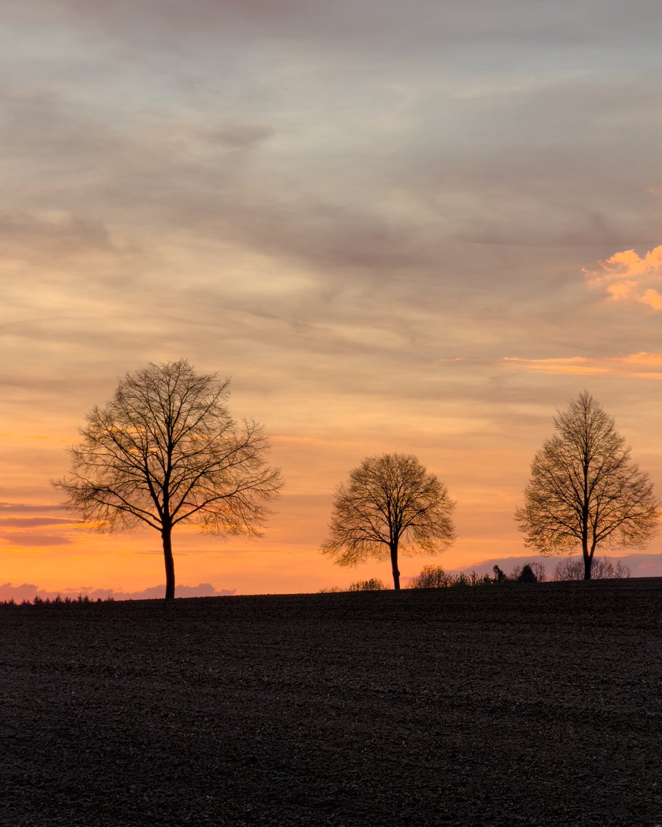 AchtsamesHerz's tweet image. Drei Bäume im Abendlicht✨
#sunsetlovers #Sonnenuntergang #Naturfotografie