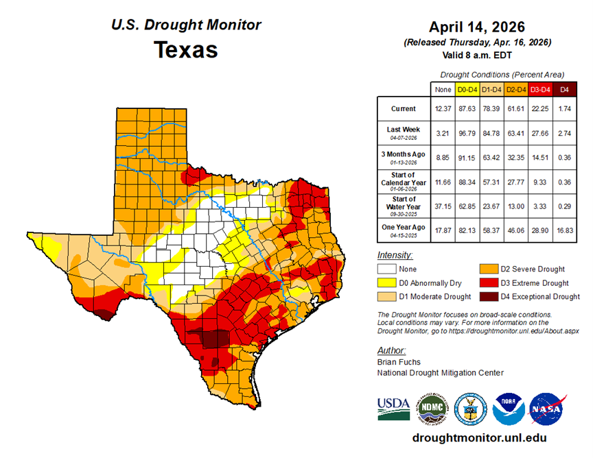 Brazos Valley GCD tweet media