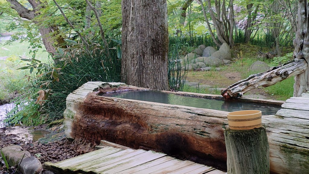 またたび研究所/また旅しよう。 tweet media