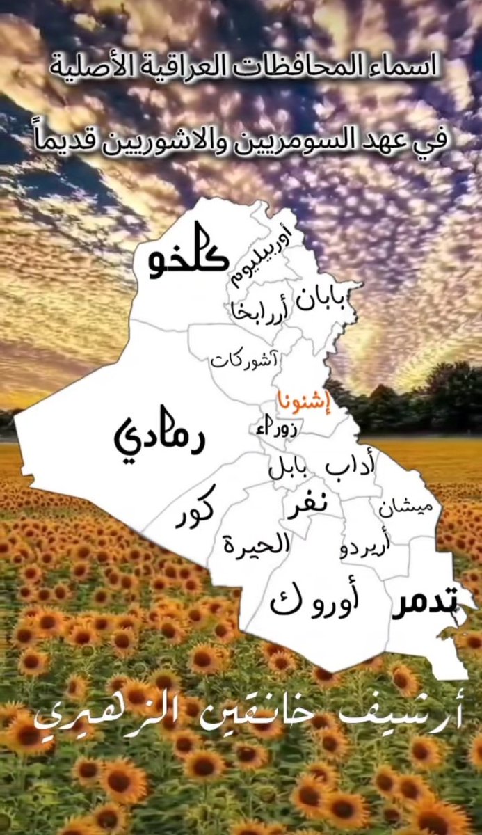 Hala Hussein tweet media