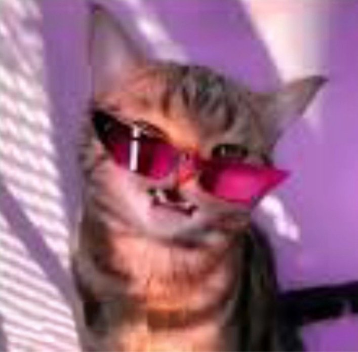 julxy_VEVO tweet media