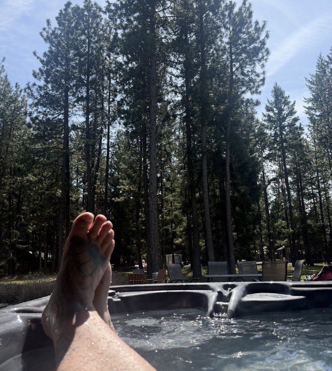 HAWK (33.3%) tweet media