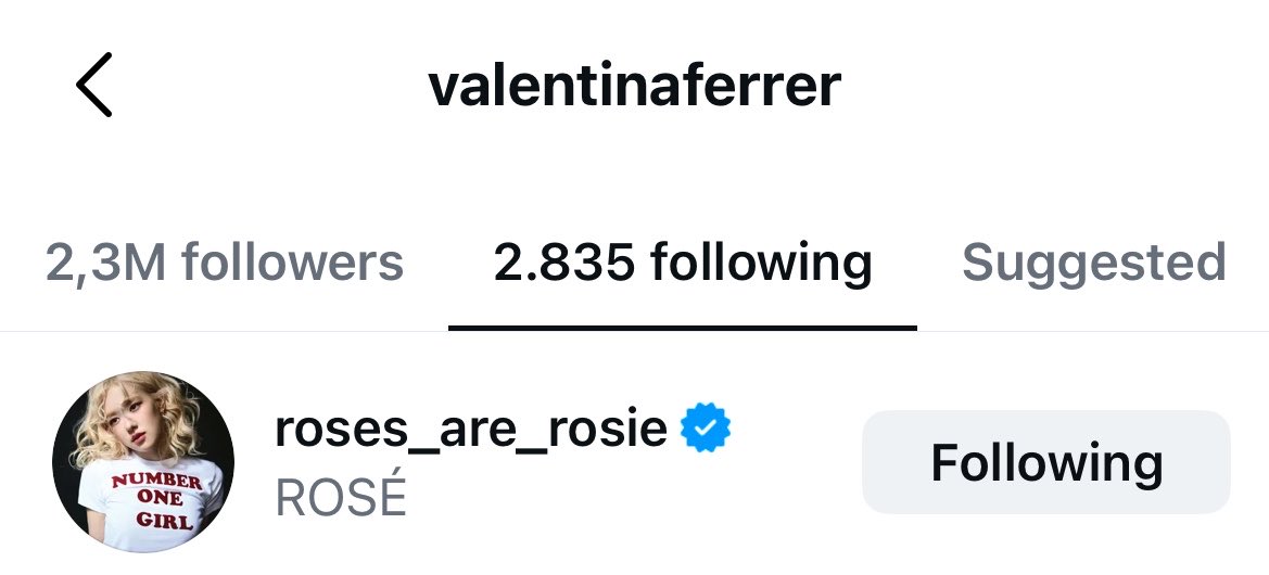 Valentina Ferrer started following ROSÉ on Instagram.🤍