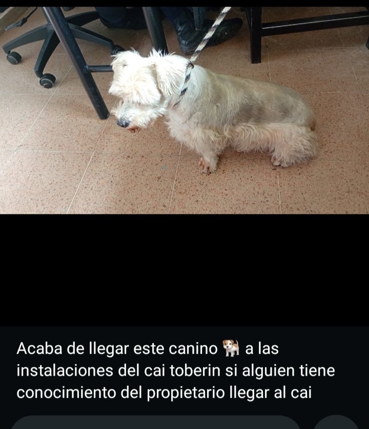 Opinobien72 tweet media