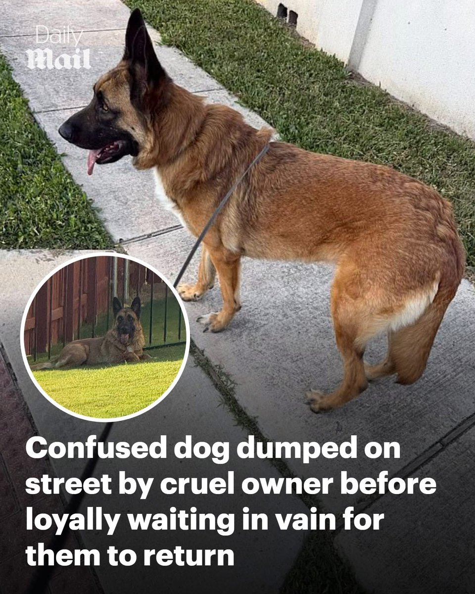 dominic dyer tweet media