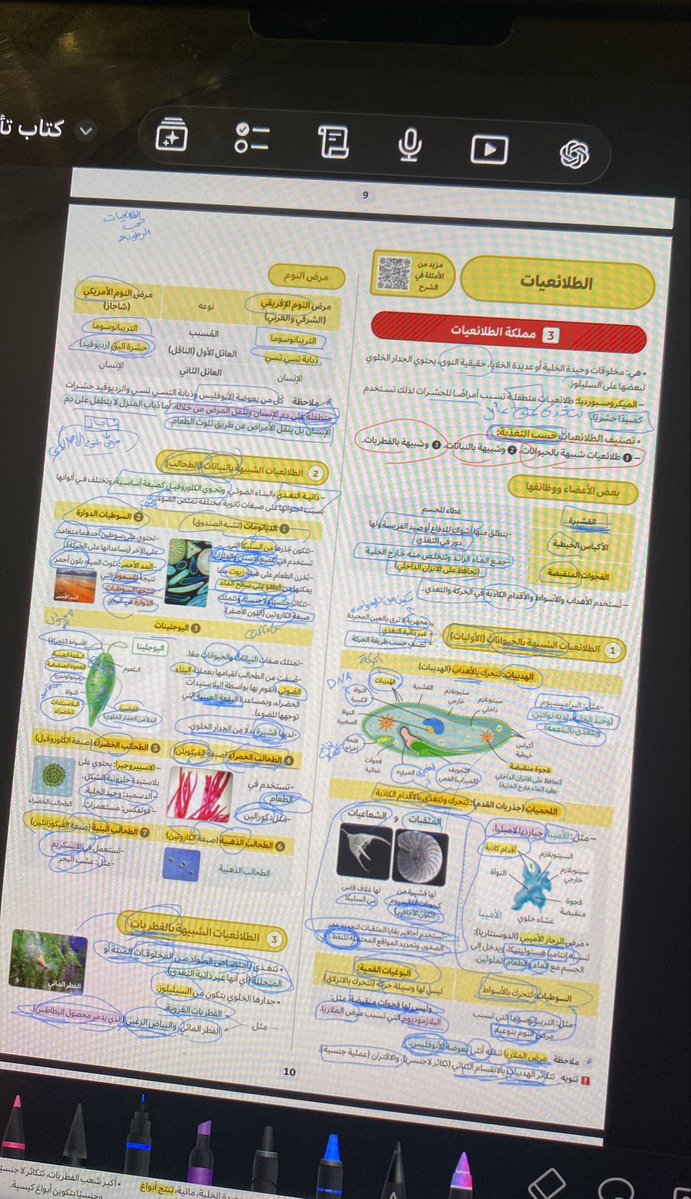 Dr: مسألة وقت tweet media
