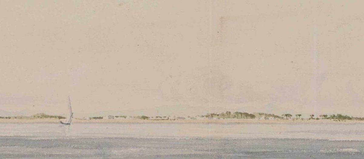 حمد المرر tweet media