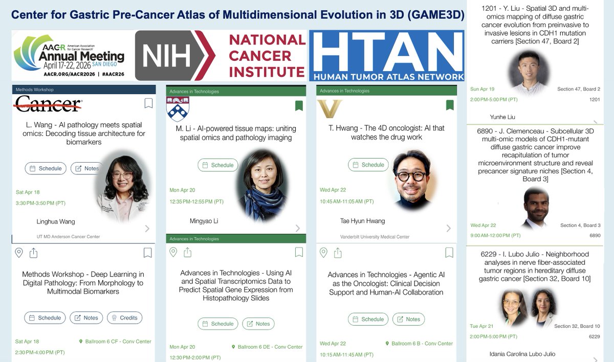 IamLinghua's tweet image. Proud to share our @theNCI #HTAN-supported GAME3D team at #AACR26, with 3 talks (@DrMingyaoLi @tae_hwang and me) and 3 posters.  We use #Spatial multi-omics, 3D modeling, digital pathology and AI to study #GastricCancer evolution. Learn more about GAME3D: humantumoratlas.org/center/hta203