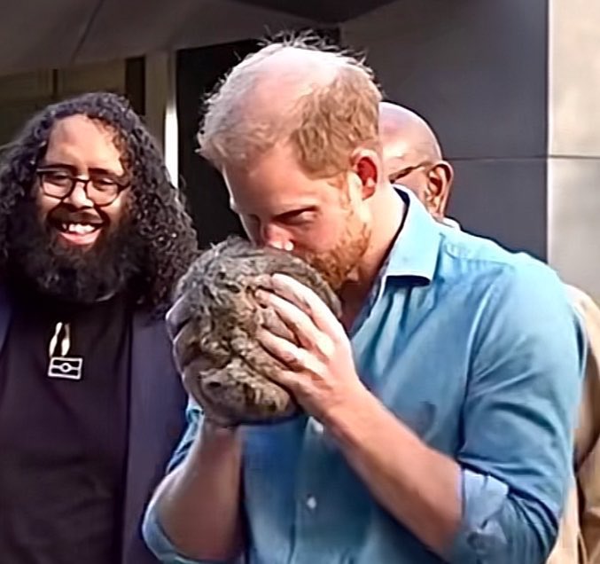 Duchess of Geeks tweet media