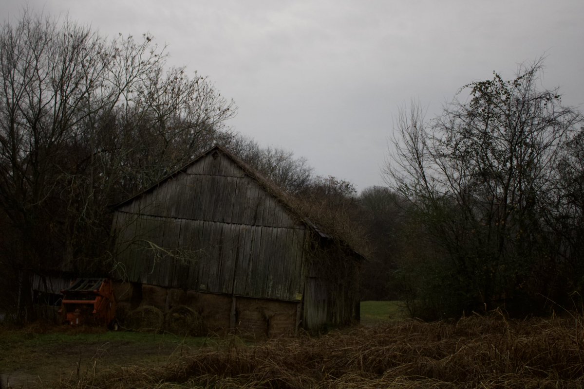 dreamland tweet media