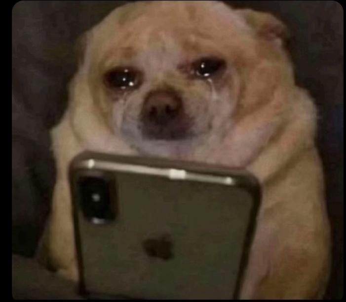 Wendy♥️ tweet media