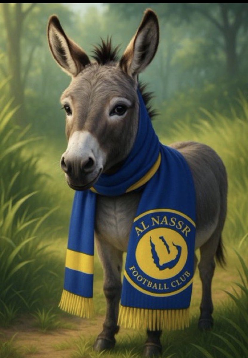 ابو فهد🤍💚 tweet media