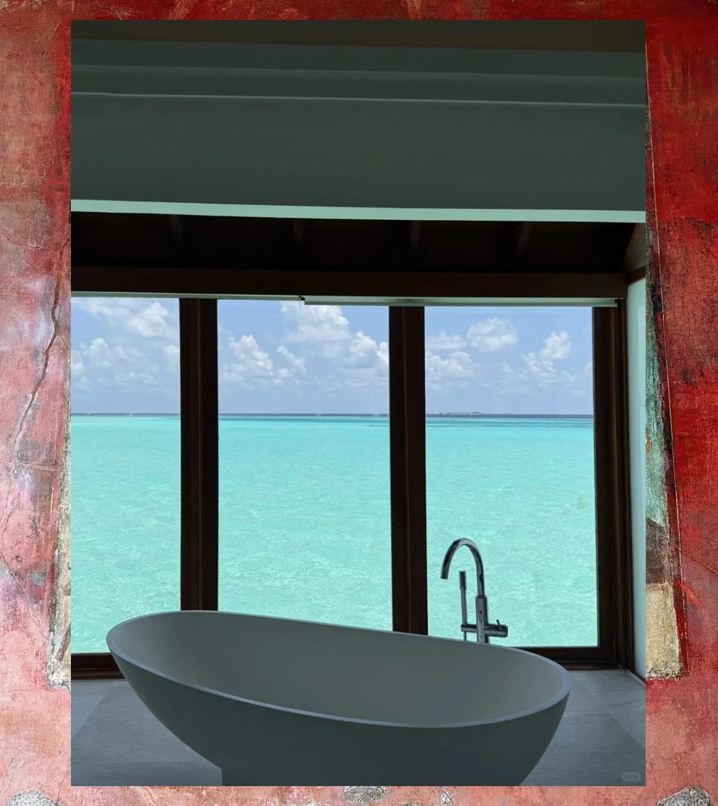 Bryan Castillo tweet media