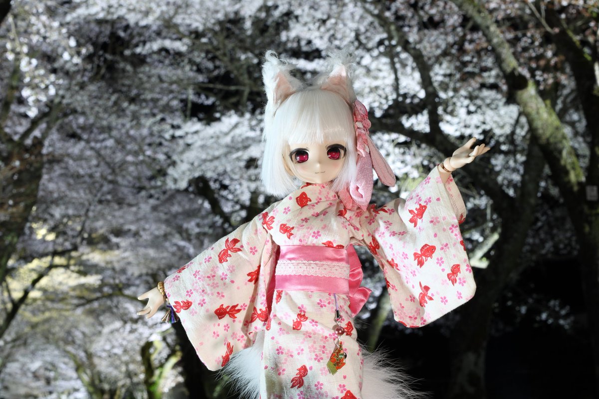 #これを見た人は2026年に撮った桜の写真を載せる