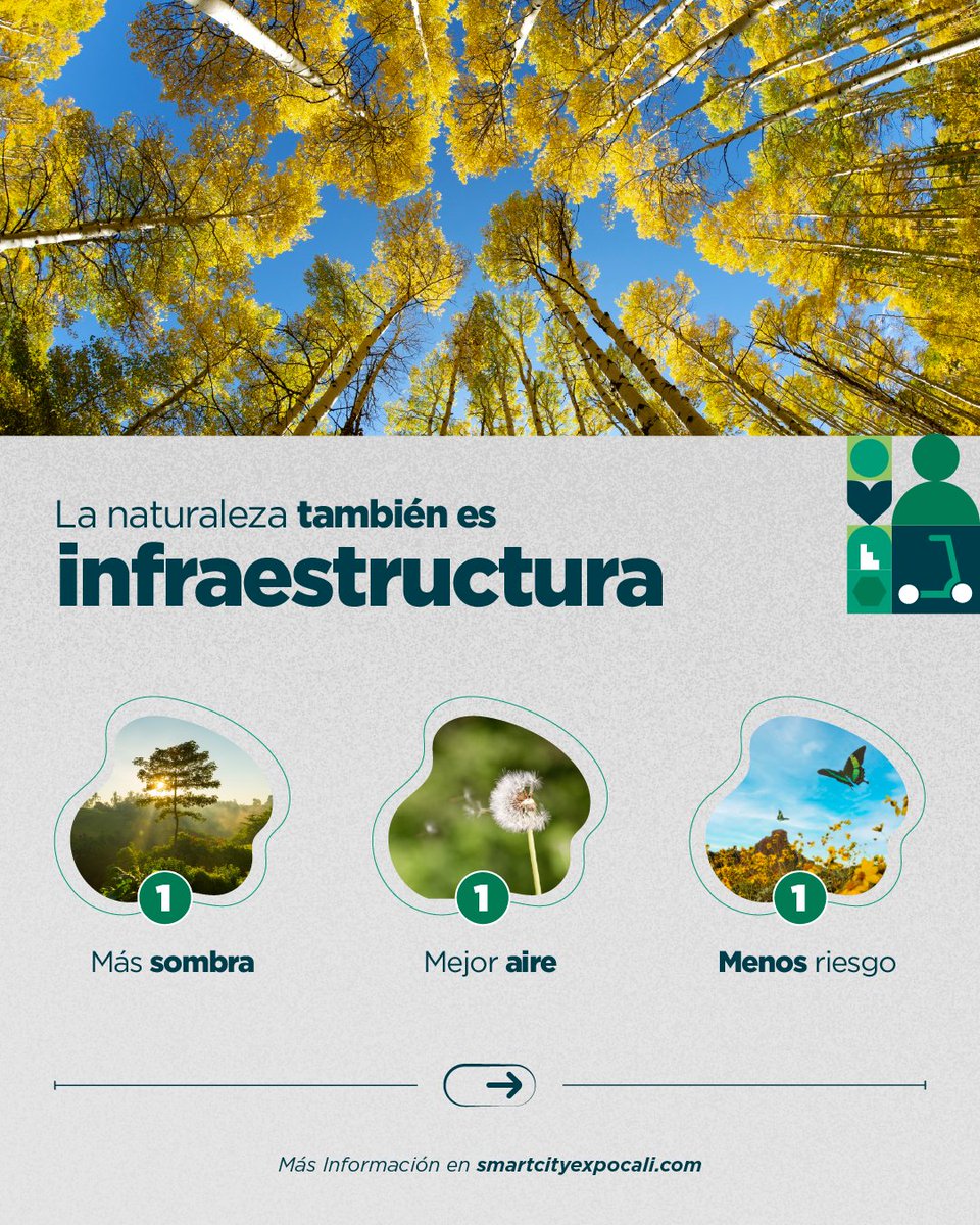 SmartCityCali's tweet photo. Hoy, Día de la Tierra, recordamos que cuidarla empieza en la ciudad.

Las soluciones basadas en la naturaleza mejoran la calidad de vida urbana y protegen el territorio.

Más información en https://t.co/gjMvuNhNPH
 
#SCECali26 #Cali #Colombia @AlcaldiaDeCali @SmartCityexpo https://t.co/acYxmqAawC