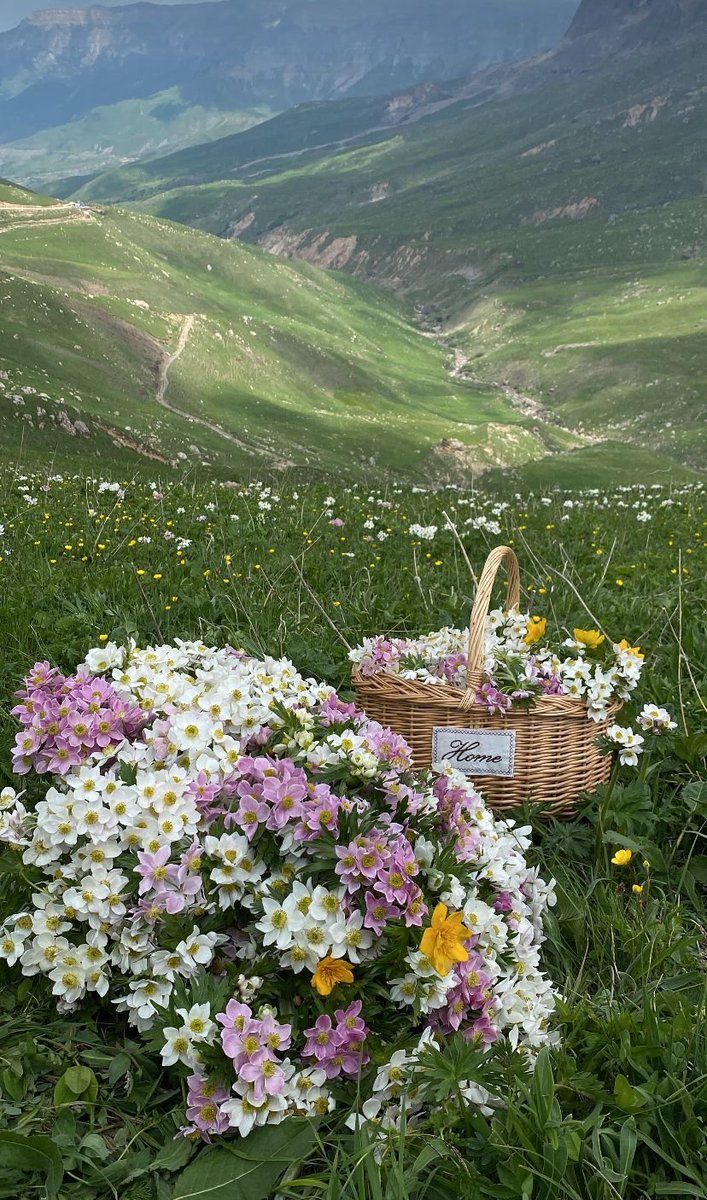 only aesthetic tweet media