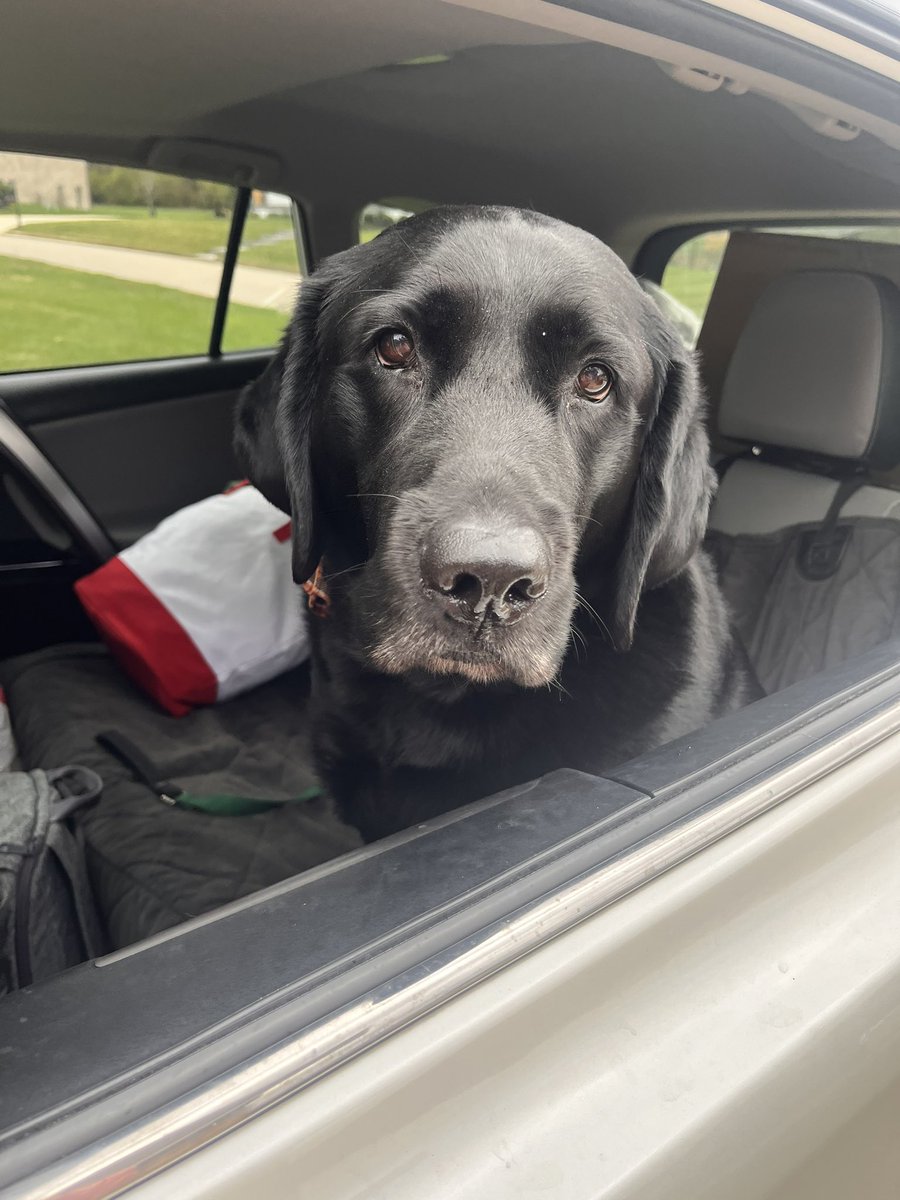 callipiller's tweet photo. My Sweet Maggie Ann </3 I love you so. A piece of my heart left with you https://t.co/Jn3X9QBBax
