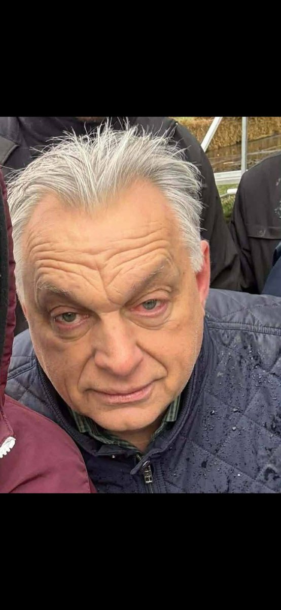 Melanie Schmidke tweet media