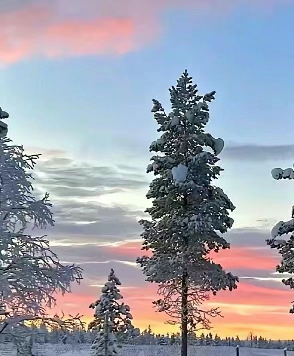 Ryan Nguyen tweet media