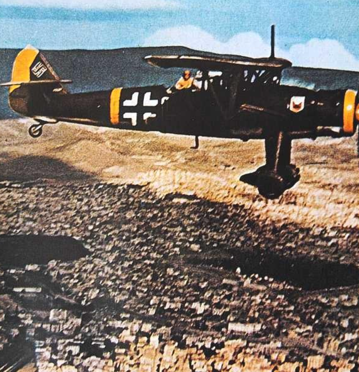 Pinat TC-JBM tweet media