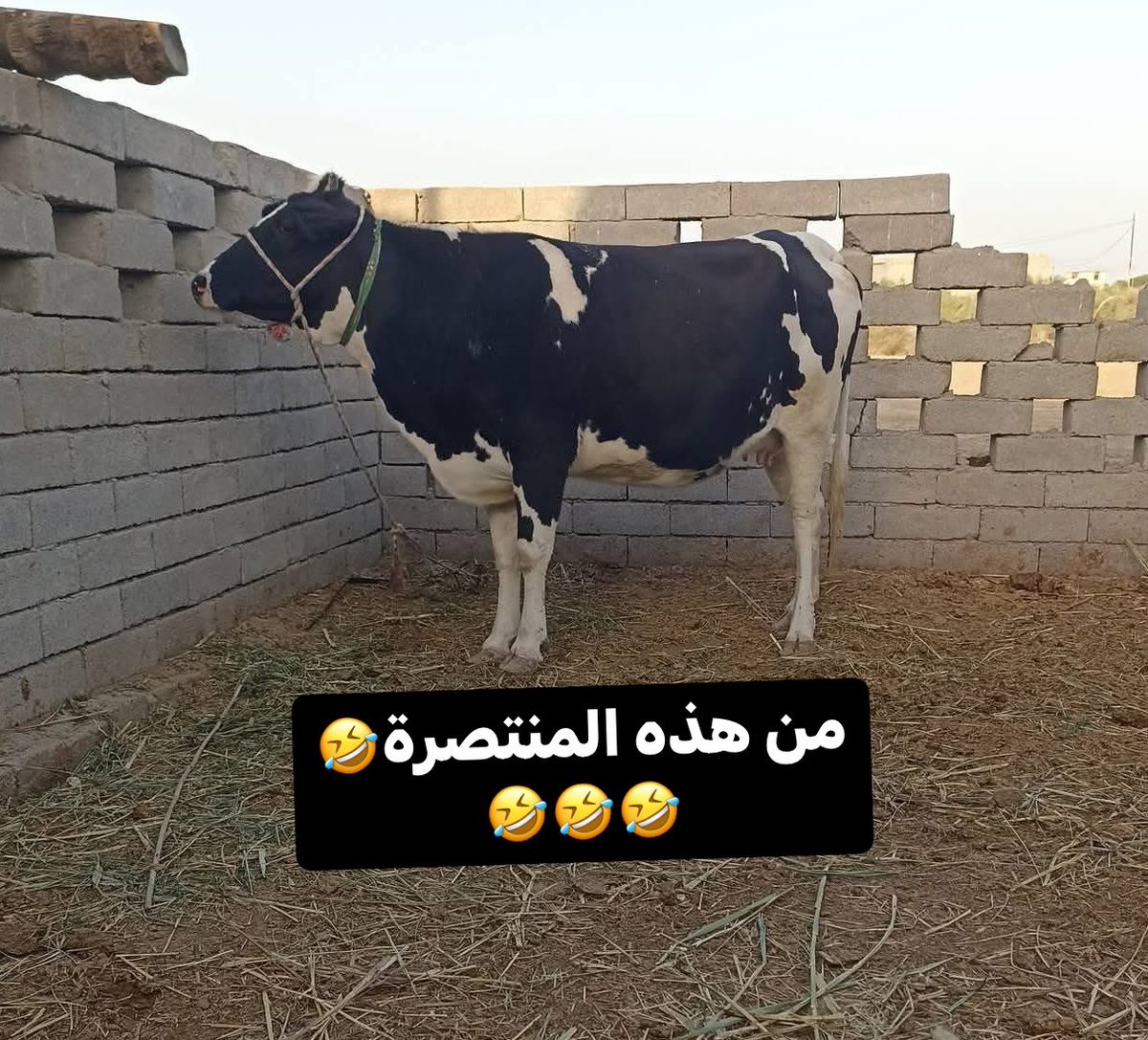 احــــمــــد tweet media