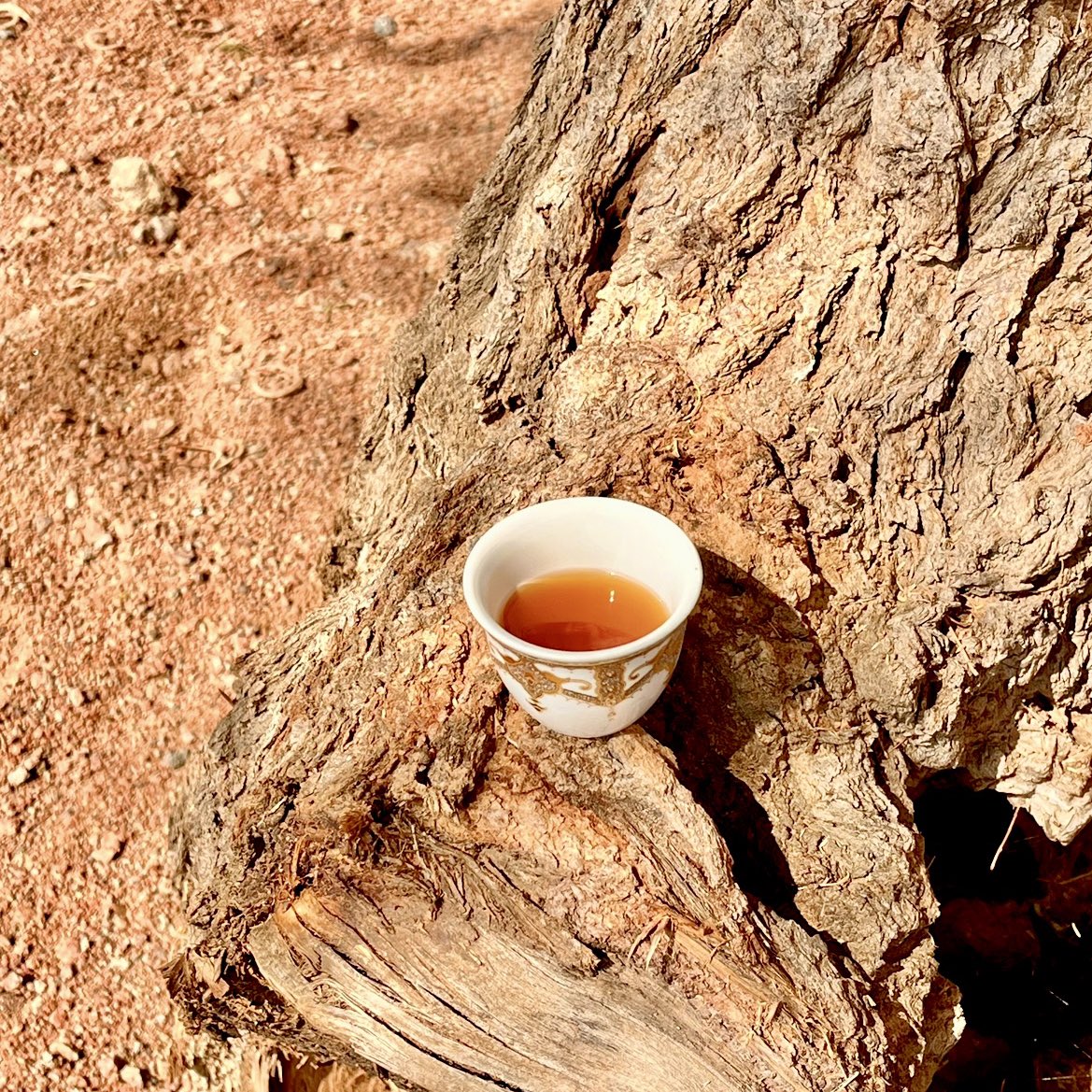 Leen AlShammari tweet media