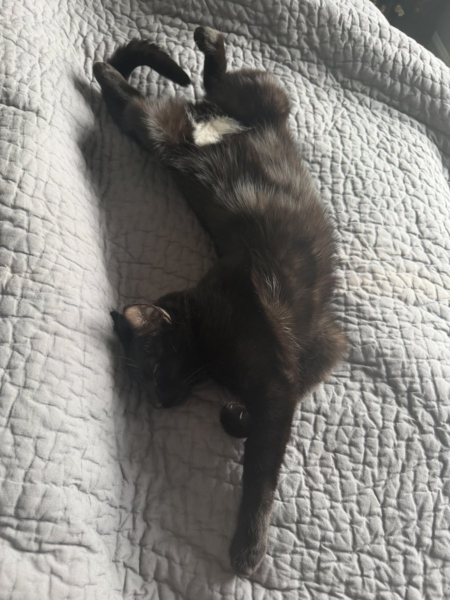 Only the cutest and sweetest girl in the world