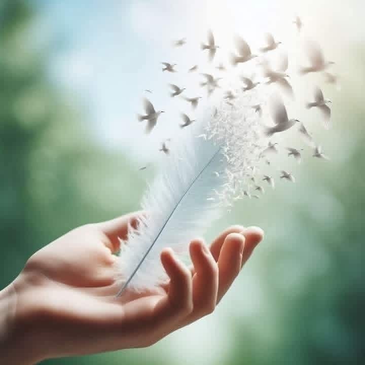 ڜۧاﭑمً ۥۦٰﮧ۬ۛ‏♩ tweet media