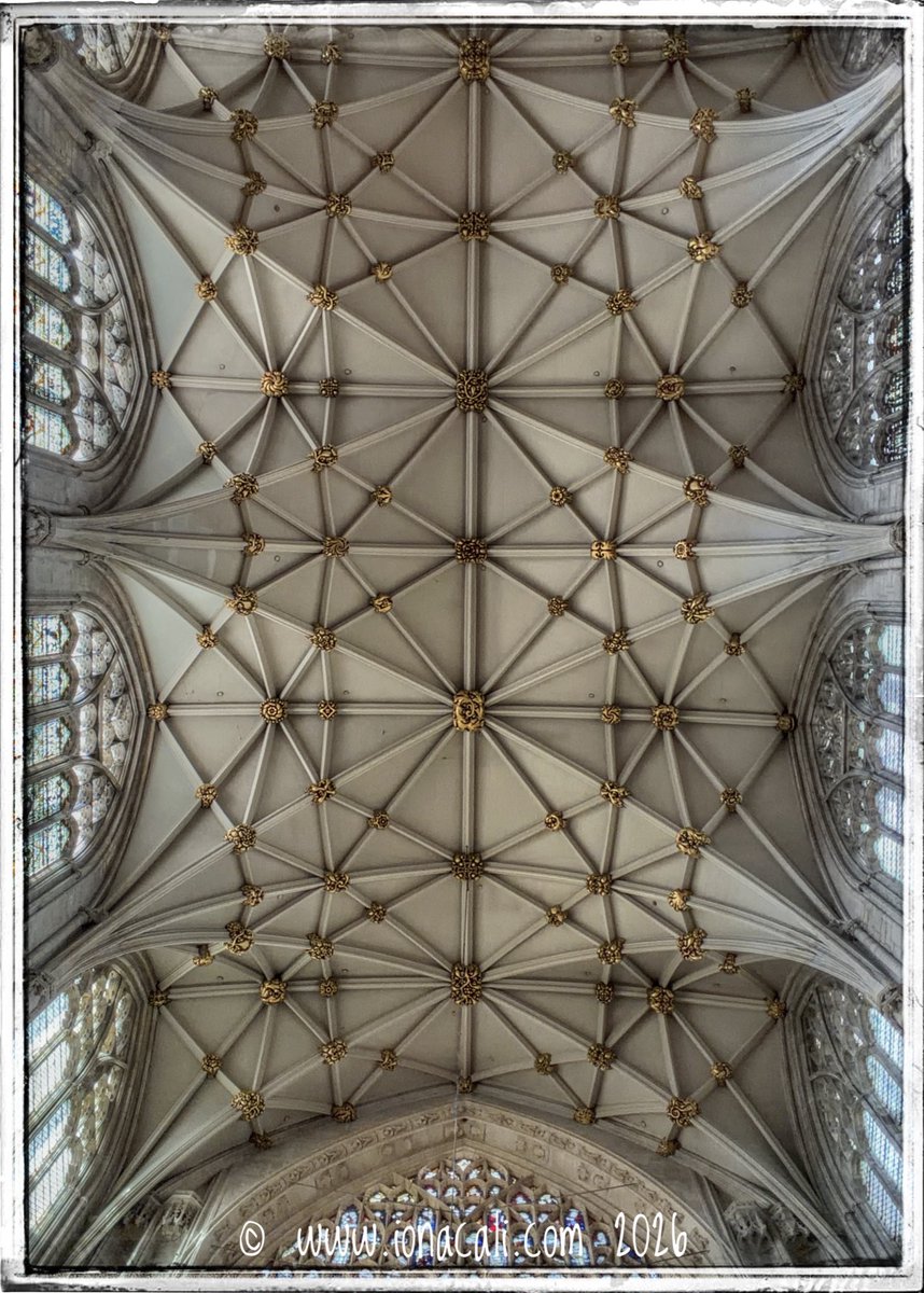 iona_cali's tweet image. The Minster roof at the East End. #York