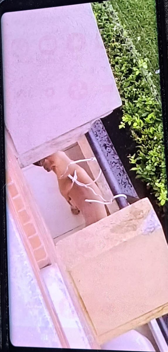 Roberto Ortiz tweet media