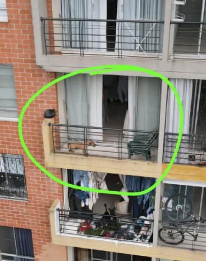 Roberto Ortiz tweet media