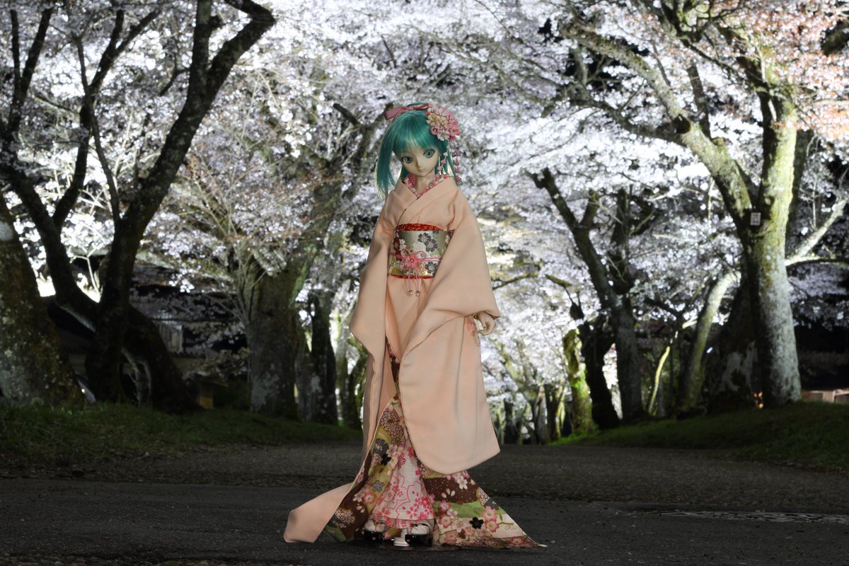 #これを見た人は2026年に撮った桜の写真を載せる