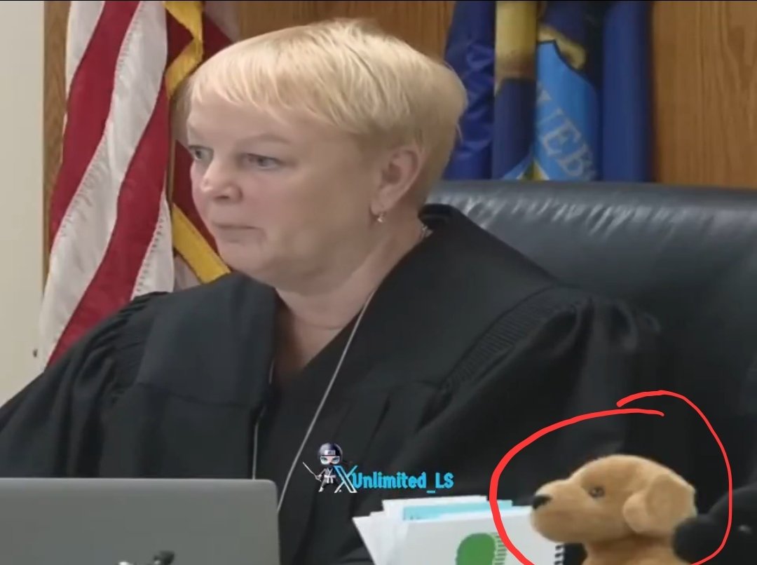J__Lory's tweet photo. @unlimited_ls Any judge that has stuffed animals in their court is not a serious person about administering the law. https://t.co/i4vejWV5HR