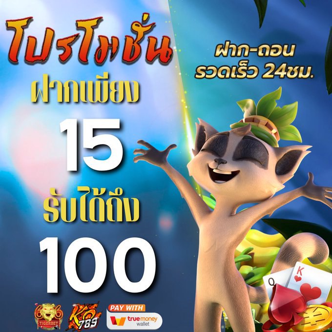 ก้อย tweet media