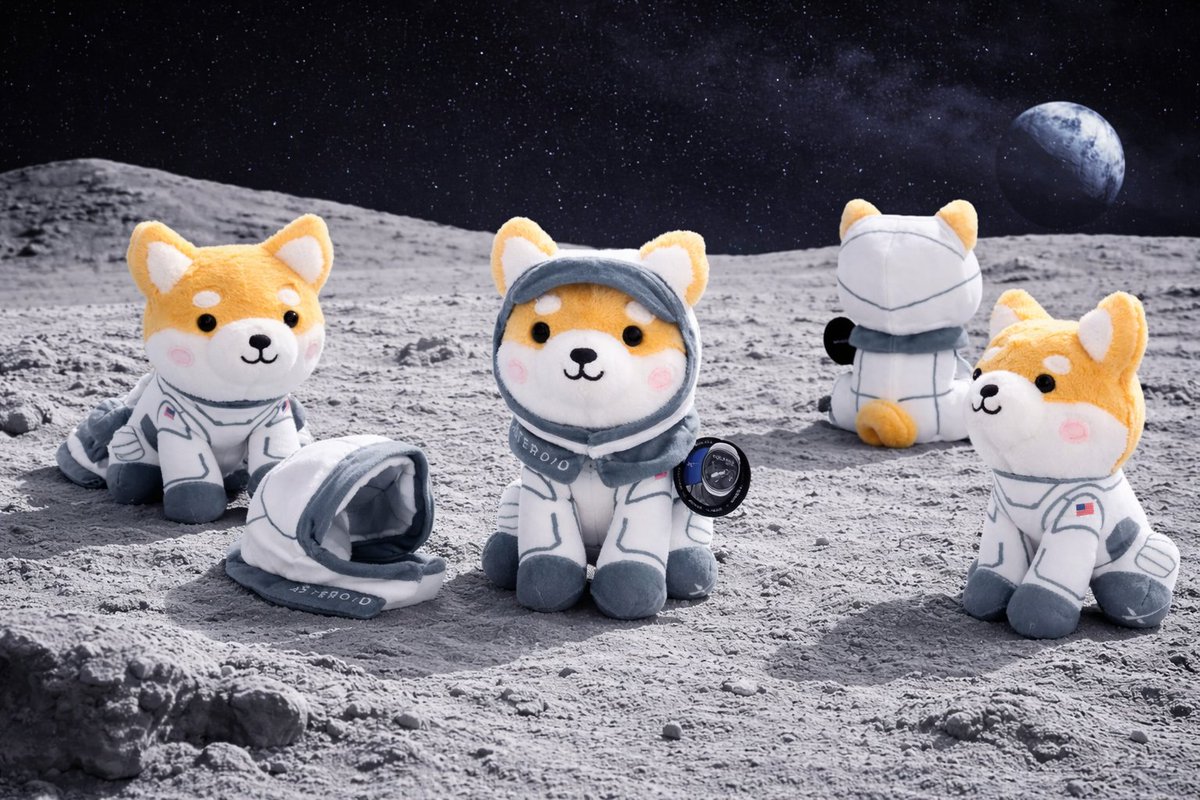 The Ponzi Times tweet media