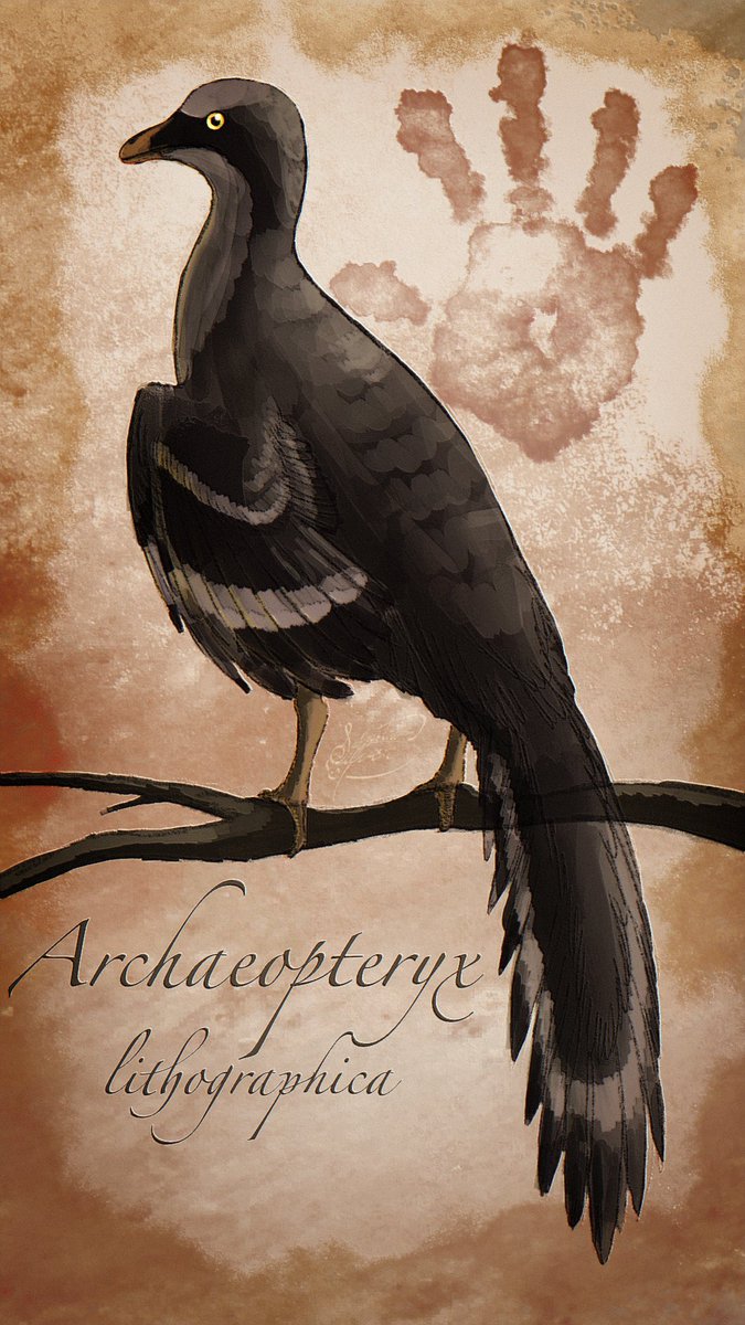 🎶Silver Symphonies 🎵 Composer | LVLUP Expo 2026 tweet media