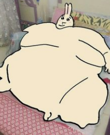 📺ellen z tweet media