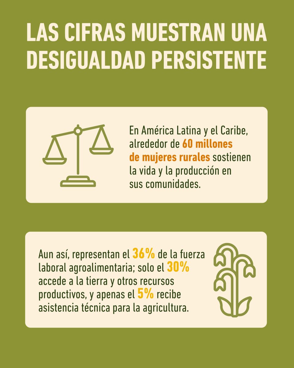 Comisión Interamericana de Mujeres (CIM) tweet media