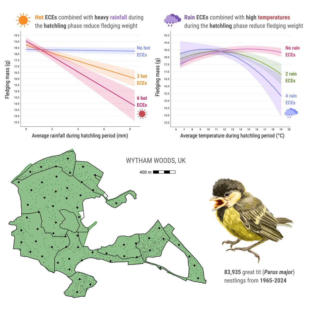 Global Change Biology tweet media