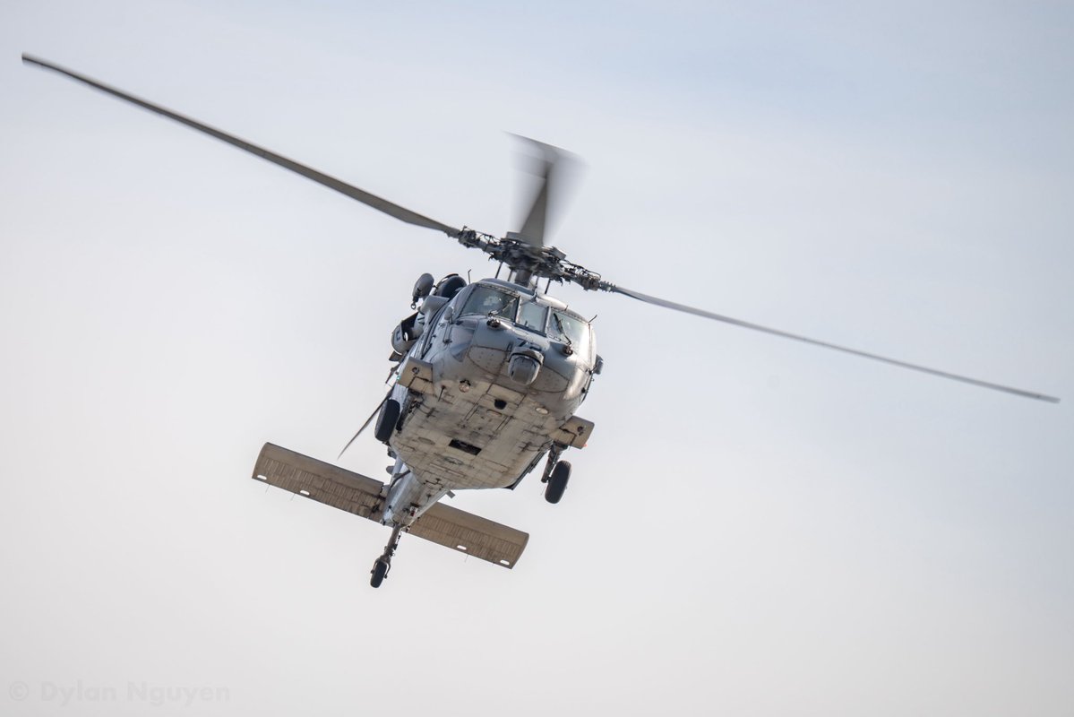 Dylan Nguyen tweet media