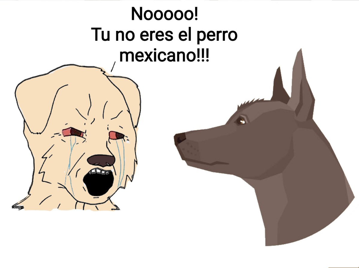 ɮ࿓ 'El Tsunami' ll⋮ tweet media